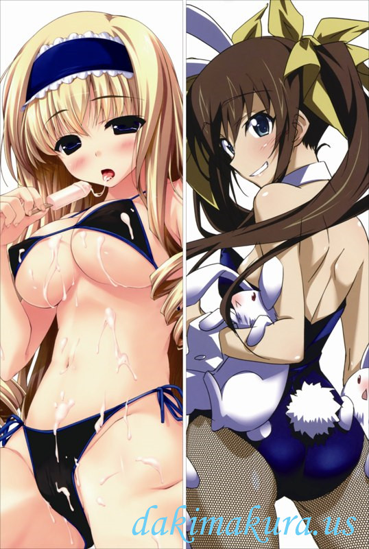 Infinite Stratos - Charlotte Dunois Full body waifu anime pillowcases